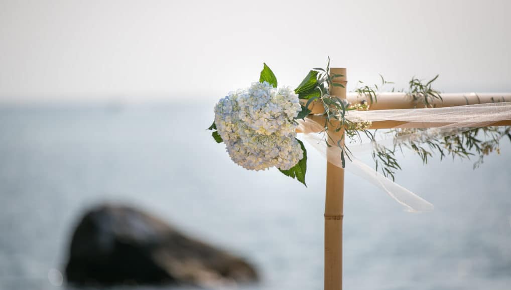 View More: https://lmdphoto.pass.us/patricia-and-court-i-do